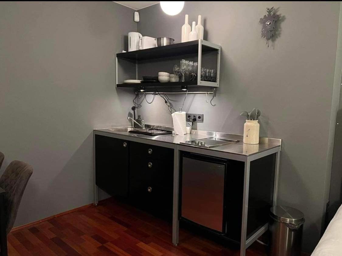 Studio Apartment With Ocean View Reykjavik Exterior photo