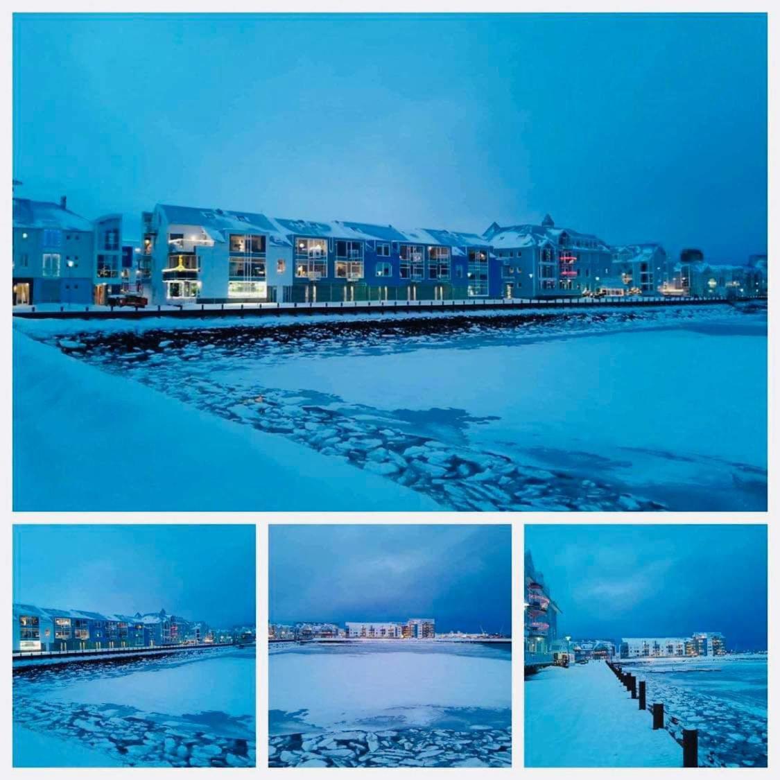Studio Apartment With Ocean View Reykjavik Exterior photo